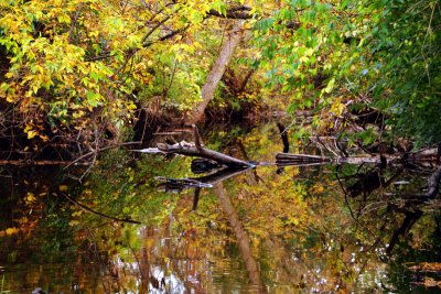 Rock Cut State Park, Illinois