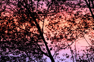 Rock Cut State Park, Illinois - dusk