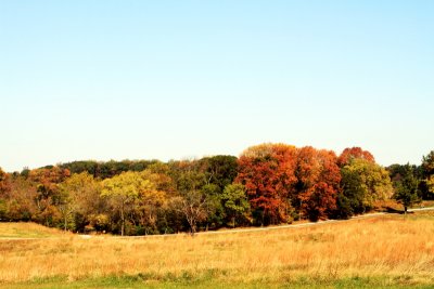 Valley Forge - fall