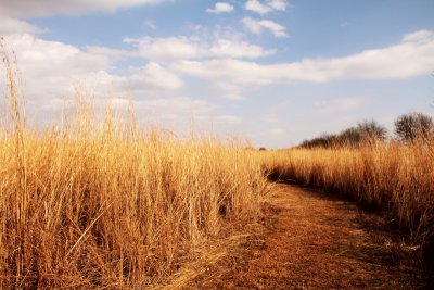 Prophetstown State Park, IN