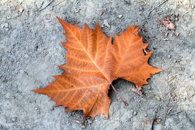 Prophetstown State Park, IN - Fall Colors