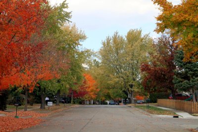 Prophetstown State Park, IN - Fall Colors