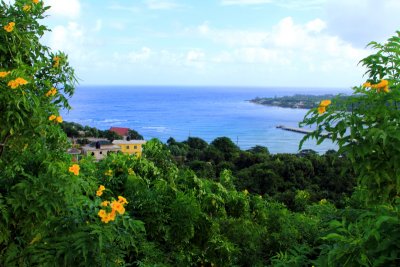 Rio Bueno Bay, Jamaica