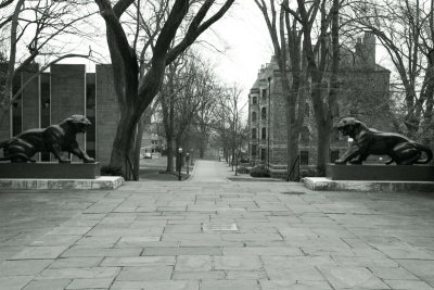 Princeton University, NJ