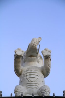 Hollywood elephant, Los Angeles