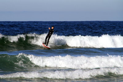 Riding the wave, surfing in La Jolla