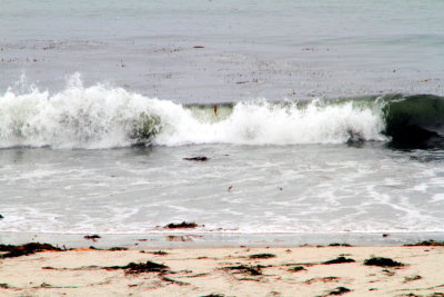 Pacific waves, 17 Mile Drive, Monterey, California