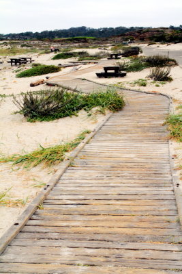 17 Mile Drive, Monterey, California