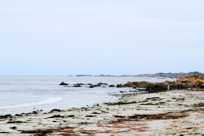 Spanish Bay, 17 Mile Drive, Monterey, California