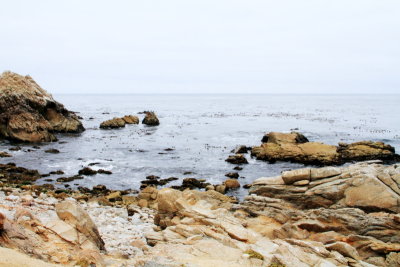 Restless Sea, 17 Mile Drive, Monterey, California