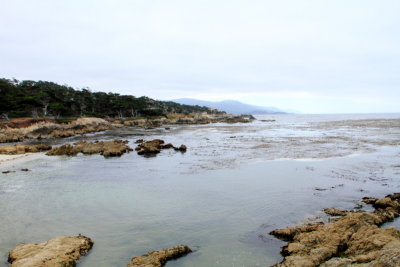 Pacific ocean, 17 Mile Drive, Monterey, California