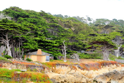 17 Mile Drive, Monterey, California