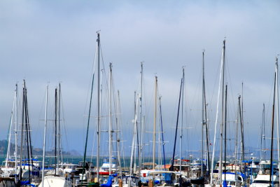 Boats, Fishwerman's wharf, San Francisco