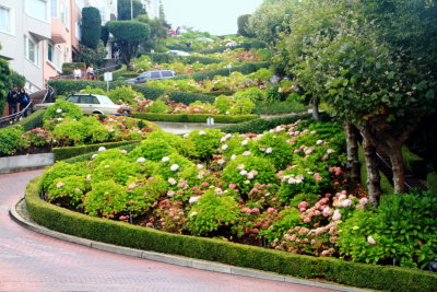 Crookedest street in the world, Lombard Street, San Francisco