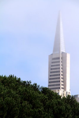 Transamerica pyramid, San Francisco