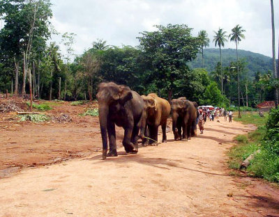 Sri Lanka - A land like no other - 2004 