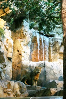 The MGM lion, Las Vegas, NV