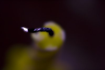 g1/30/543130/3/108413471.8uqxkN4l.jpg