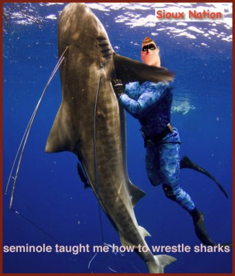 Sioux-Sharks w- seminole.jpg