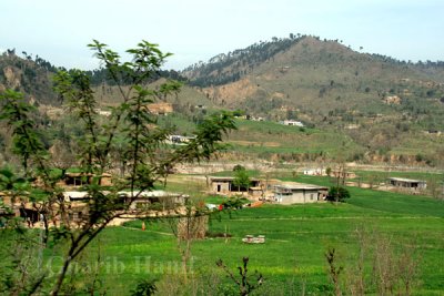 Village