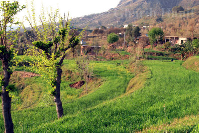 Banaah Valley 4