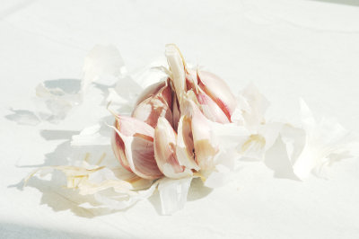 pink garlic.jpg