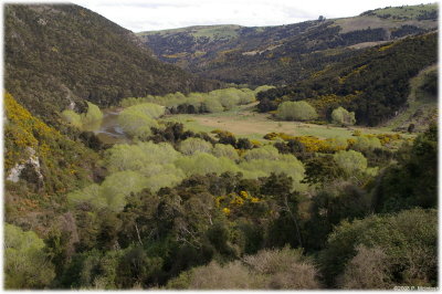 Taieri Scenery