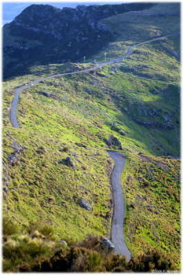New Zealand South Island Tripping
