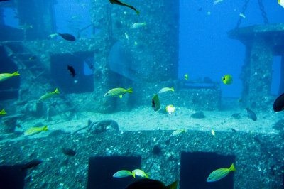Boat Reef