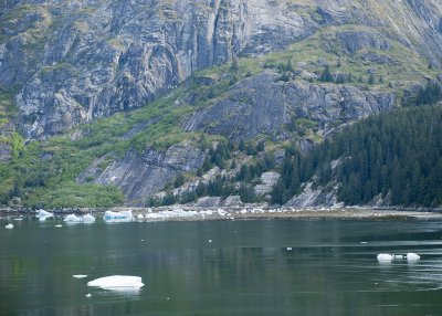 Tracy Arm Fjord