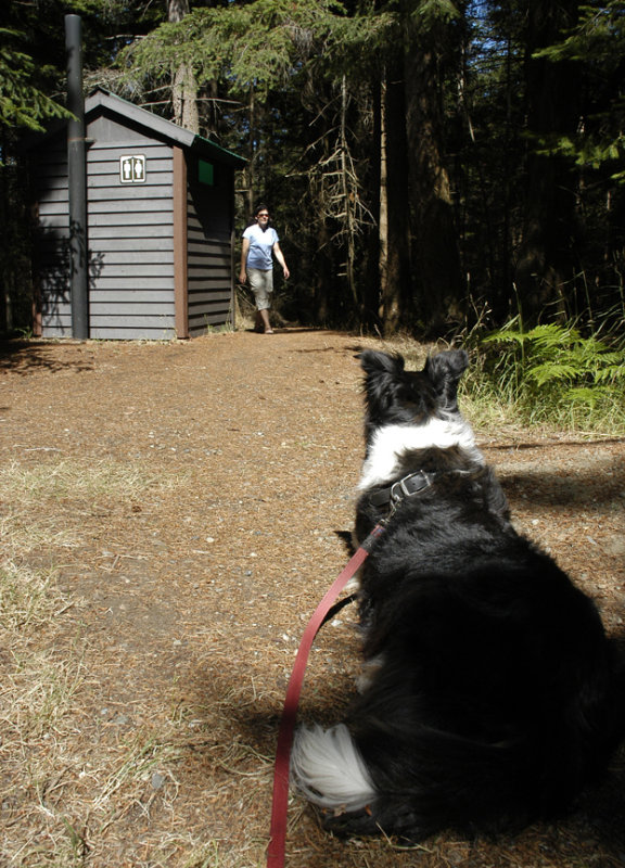 Hornby Island