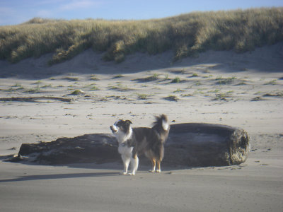 South Beach State Park - South Jetty