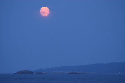 Moonrise Neck Point