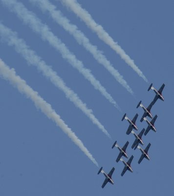 Snowbird-4