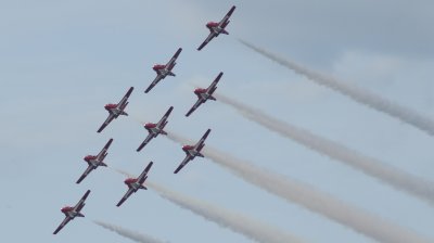 Snowbirds-1