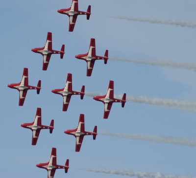 Snowbirds-2