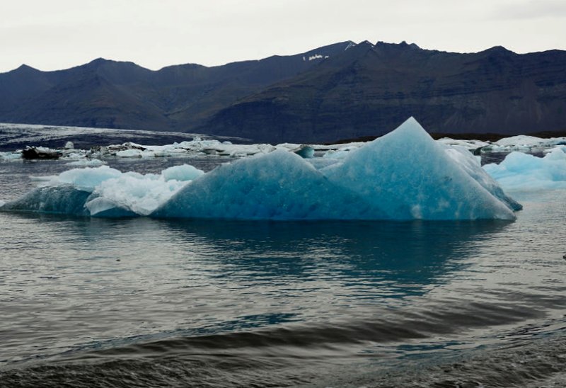 DSC_7681.jpg