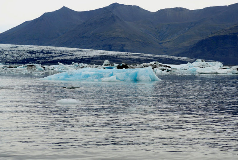 DSC_7685.jpg