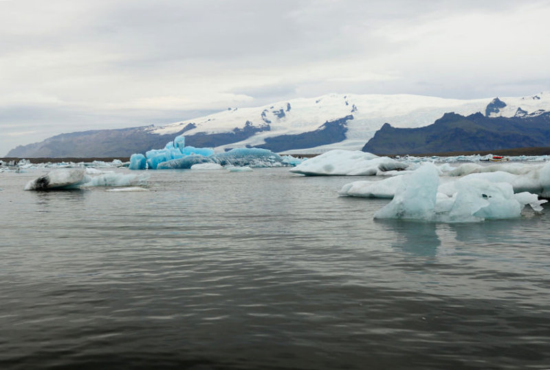 DSC_7700.jpg