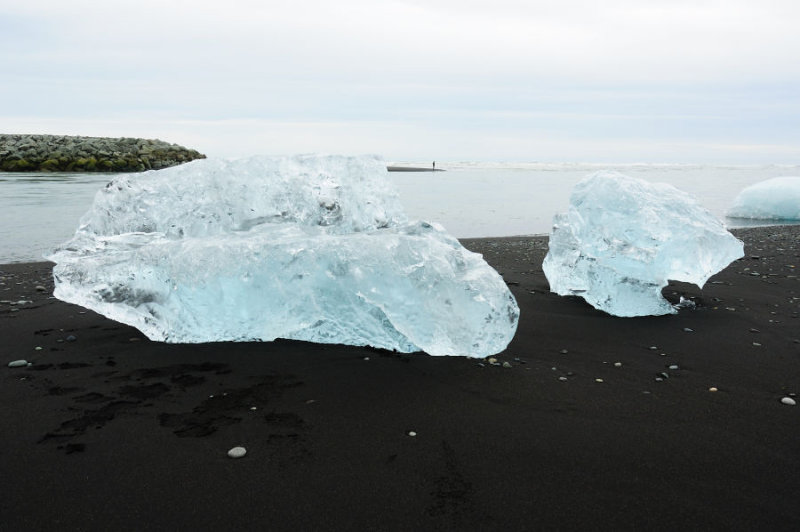 DSC_7748.jpg