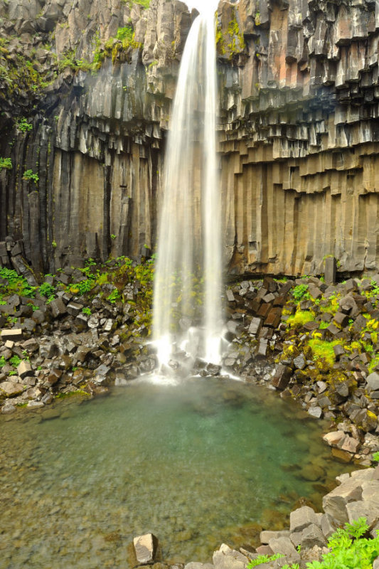 DSC_7882.jpg
