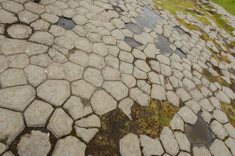 DSC_8020.jpg