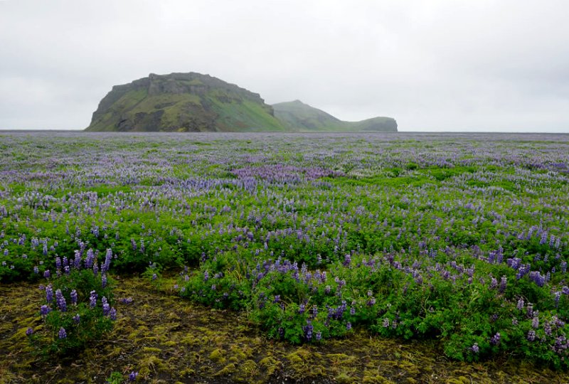 DSC_8043.jpg