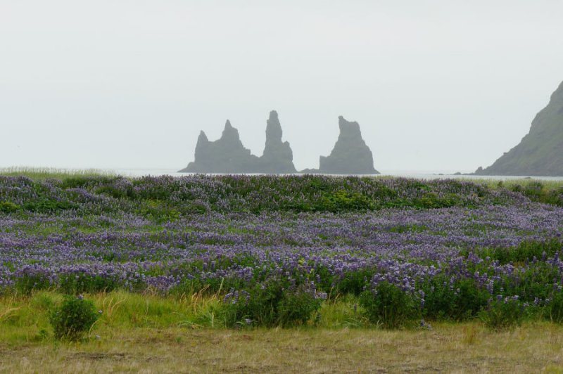DSC_8051.jpg