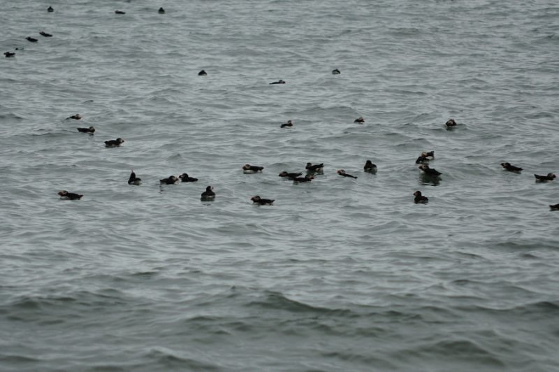 DSC_8079.jpg