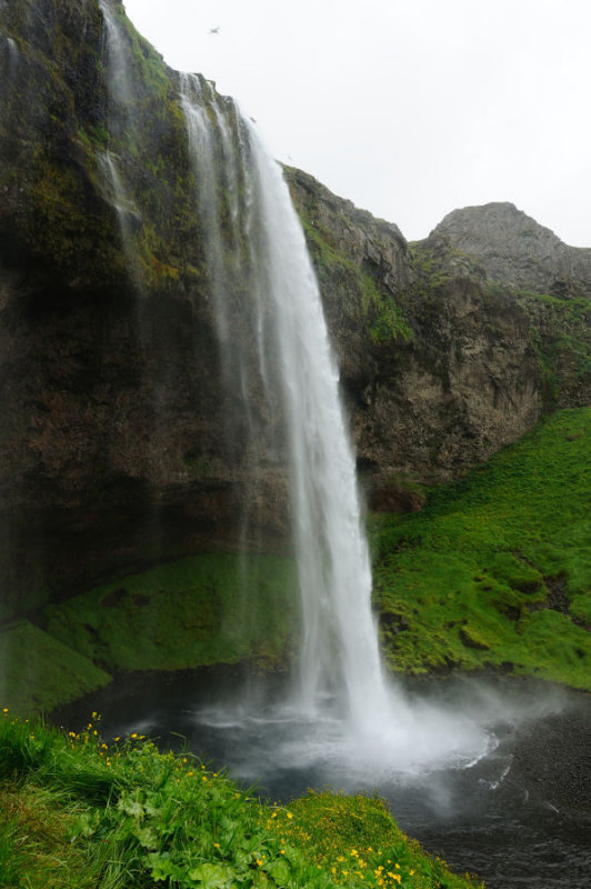 DSC_8278.jpg