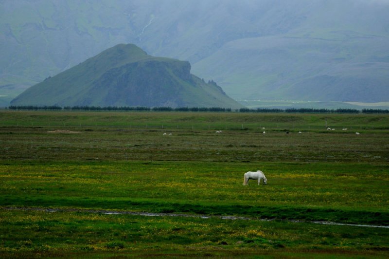 DSC_8325.jpg