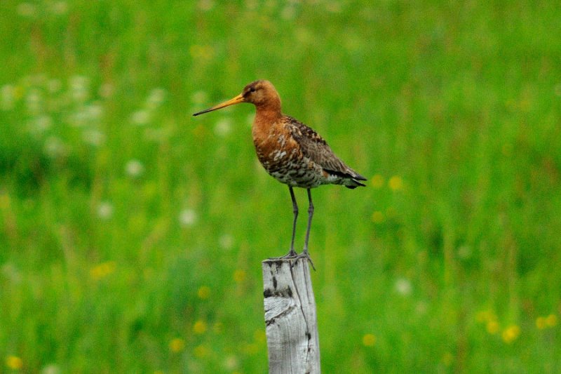 DSC_8354.jpg