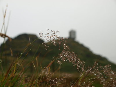 P7264604.JPG