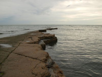 P7284754.JPG